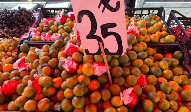 Kışın Habercisi Mandalina Tezgahlarda