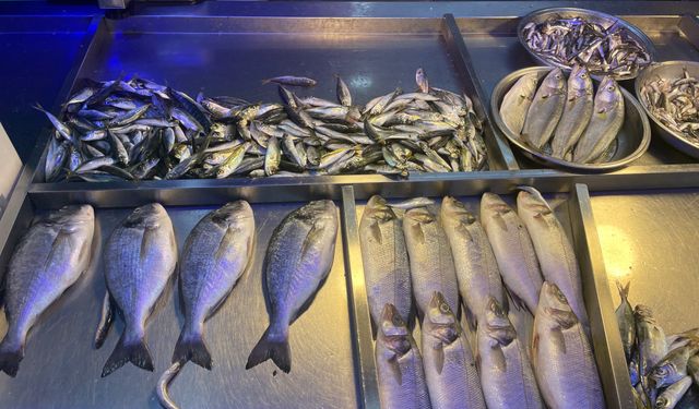 Hopa Balıkçı Tezgahlarında Yoğunluk Yaşanıyor