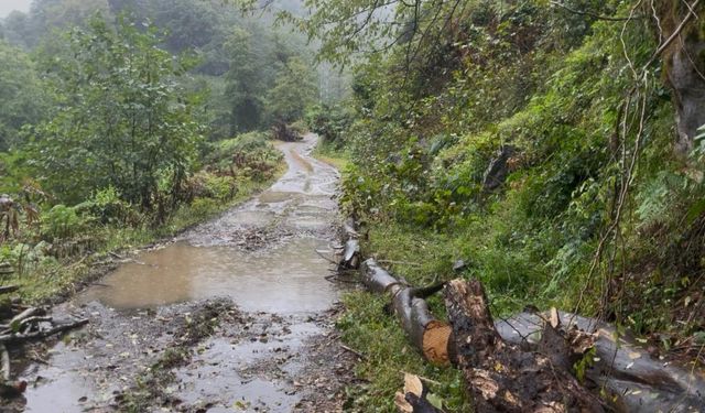 Kemalpaşa’da Köy Yolları Kullanılamaz Hale Geldi