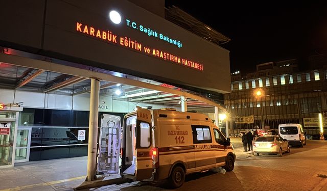 Köpeği tabancayla korkutmak isteyen muhtar kazara başka bir muhtarı yaraladı