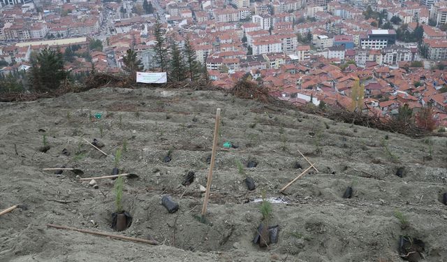 Samsun ve çevre illerde 'Milli Ağaçlandırma Günü' dolayısıyla fidan dikimi yapıldı