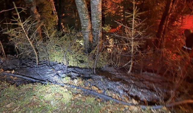 Artvin’de Zirai Alanda Yangın Kısa Sürede Söndürüldü