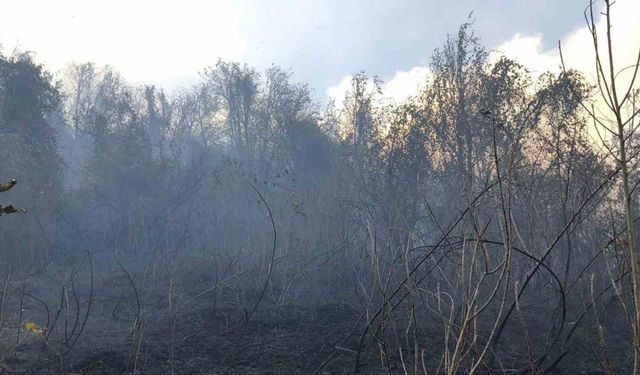 Hopa’da Ziraat Alanında Çıkan Yangın Ormana Sıçradı