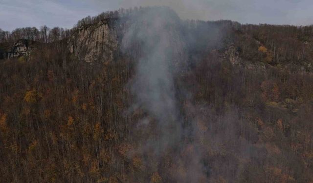 Ordu’daki ormanlık alandaki yangın kontrol altına alındı