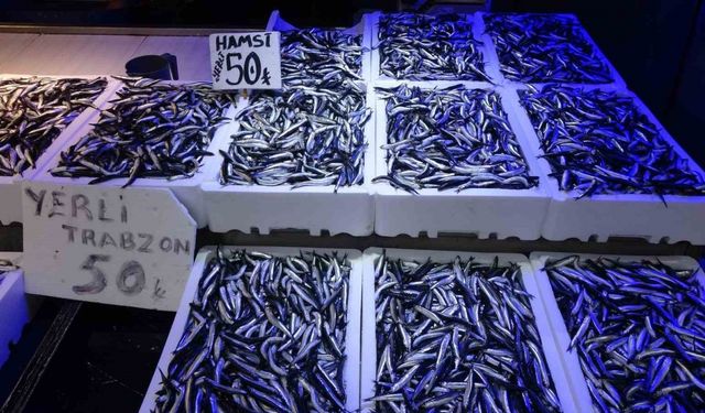 Trabzonlular hamsiye doydu