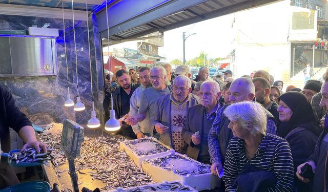 Hopa’da Hamsi İzdihamı: Kilo 20 TL’ye Düştü
