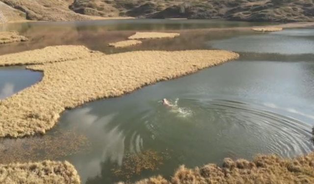 Arsiyan Yaylası’nda Buz Gibi Göl Deneyimi