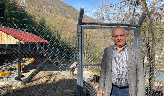 Sokaktaki Canlar Artık Koruma Altında