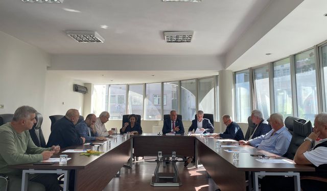 Dolmuş Yok, Zam Var!