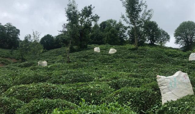 Yıldızbayrak’tan Çiftçilere ÇKS Uyarısı
