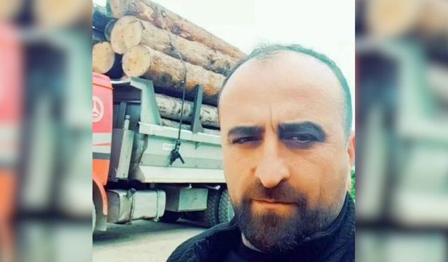 Artvin’de Üzerine Ağaç Devrilen Şahıs Hayatını Kaybetti