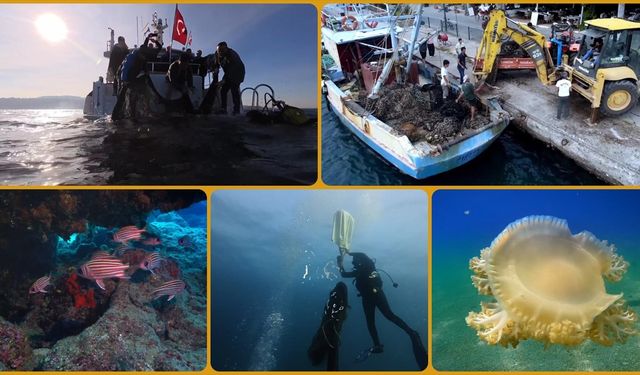 Deniz ve iç sulardan bu yıl 360 bin metrekare hayalet ağ temizlendi