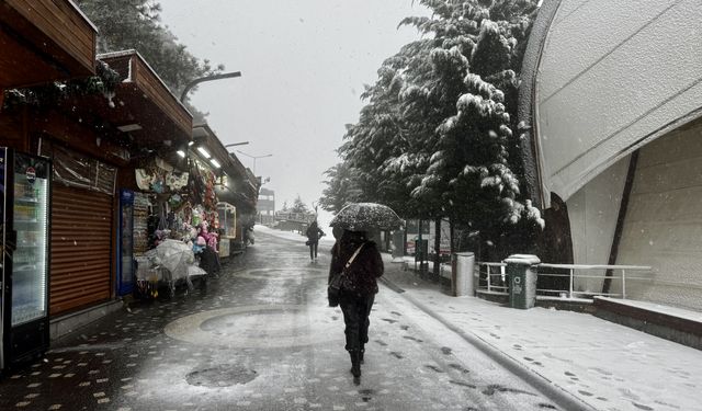 Karadeniz'de kar etkili oldu