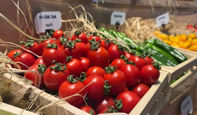 Türkiye'den yurt dışına sebzede en çok domates, salatalık ve biber tohumu gönderiliyor