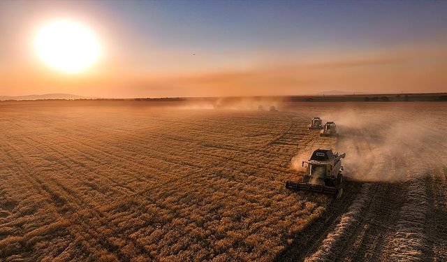 Üreticilere IPARD-III Programı kapsamında kasım döneminde 376,8 milyon lira ödendi