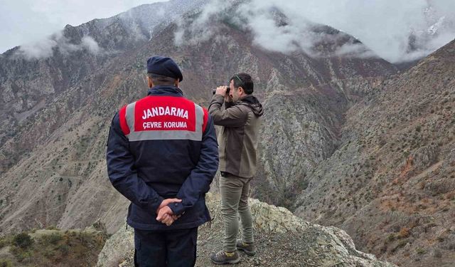 Artvin'de Kaçak ve Usulsüz Avcılığa Yönelik Denetimler Sürüyor