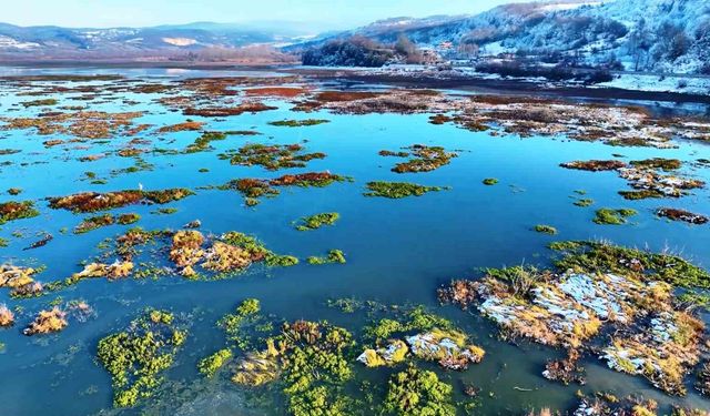 Beyaz gelinliğini giyen Ladik Gölü'nün güzelliği göz kamaştırdı