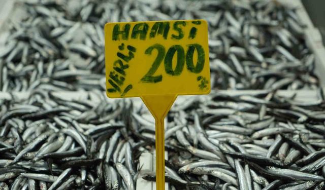 Hamside bolluk azaldı, fiyatı 200 TL'ye çıktı