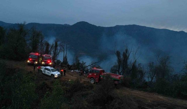 Hopa’daki Orman Yangını Söndürüldü, Soğutma Çalışmaları Sürüyor