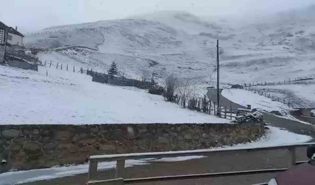 Rize'de kar yağışı yüksek kesimlerde etkili oluyor