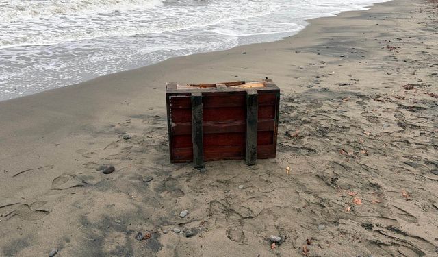 Samsun'da sahile vuran sandık incelemeye alındı