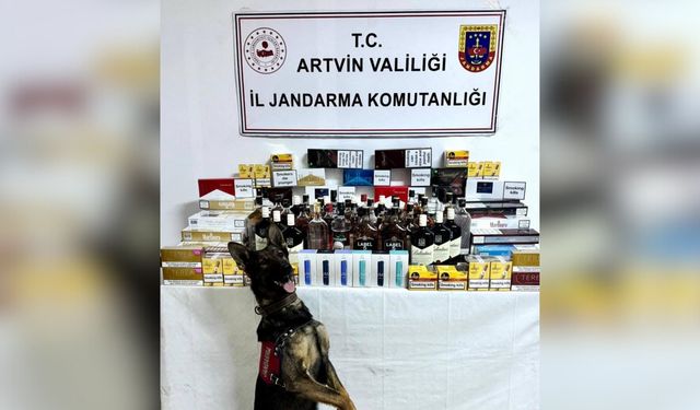 Artvin'de Kaçakçılıkla Mücadele Devam Ediyor