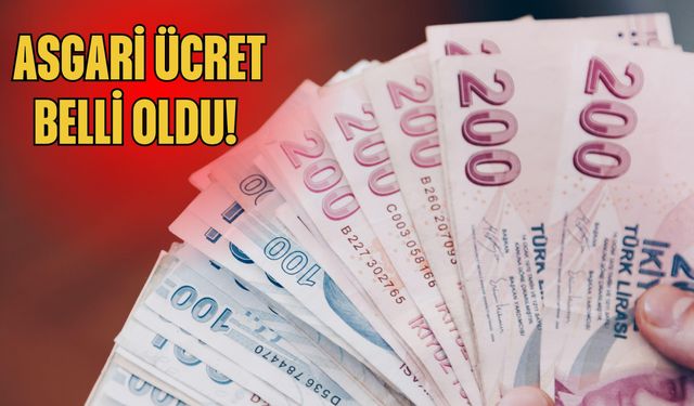 2026 Yılı Asgari Ücreti Açıklandı