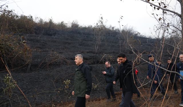 Hopa’daki Orman Yangını Tamamen Söndürüldü