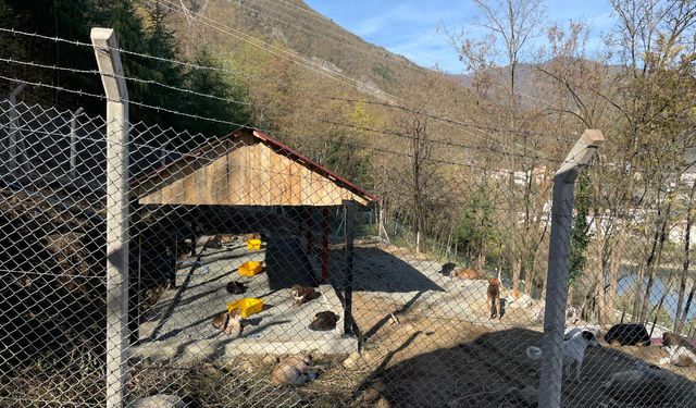 “Modern ve Doğal Yaşam Alanı Oluşturduk”