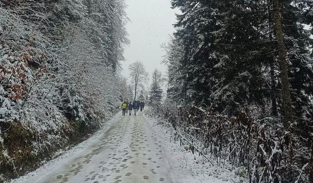 Patika’dan Borçka’da Doğa Yürüyüşü