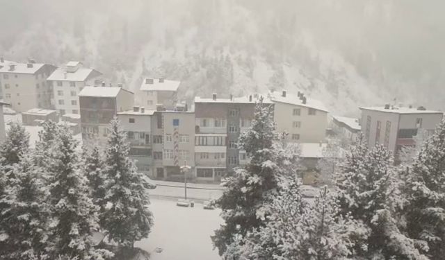 Şavşat İlçesinde Kar Yağışı Etkili Oluyor