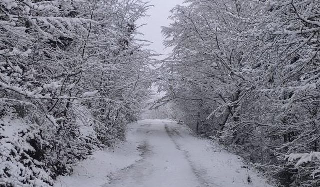 Artvin’in Yüksek Kesimleri Beyaza Büründü