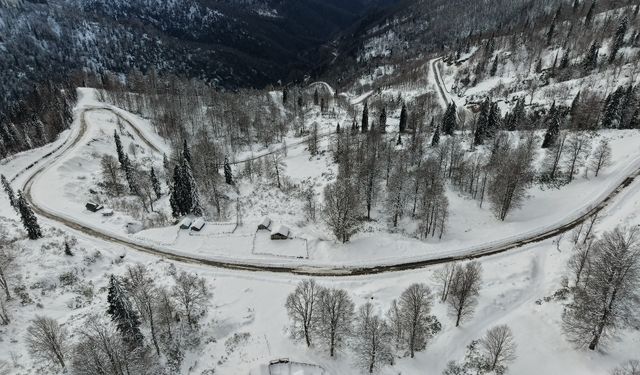 Camili Havzası Kış Manzarasıyla Büyüledi