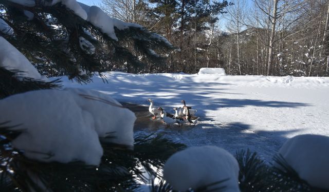 Gümüşhane, Rize ve Giresun'da 99 köye ulaşım sağlanamıyor