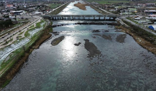 Kızılırmak'taki yaban ördeği yoğunluğu dronla görüntülendi