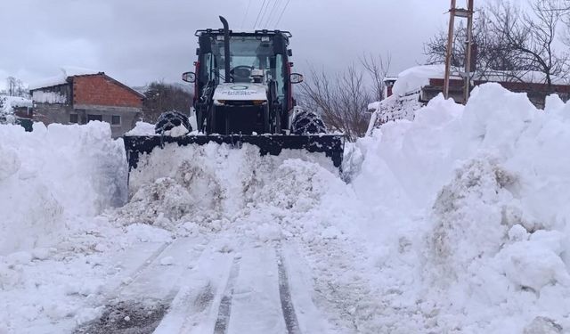 Ordu'da karla mücadele devam ediyor