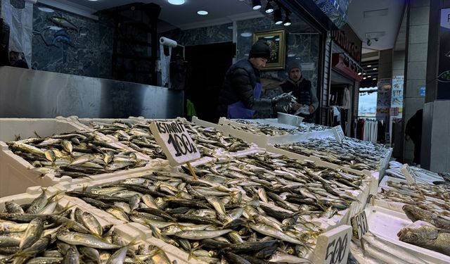 Trabzon'da balıkçı tezgahlarında hamsi ve istavrit ilgi görüyor