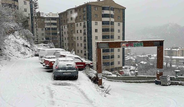 Artvin'de Kar Etkili Oluyor