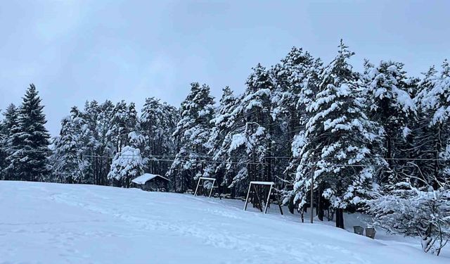 Artvin'in Ünlü Kafkasör Yaylası, Beyaz Örtüyle Sessizliğe Büründü