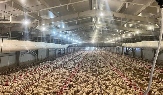 Kırsalda üretime 33,6 milyon liralık can suyu