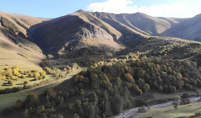 Sonbahardaki Güzelliğini Yaşanan Çığ Örttü