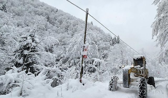 Doğu Karadeniz'in İç ve Yüksek Kesimlerinde Yoğun Kar Yağışı Bekleniyor