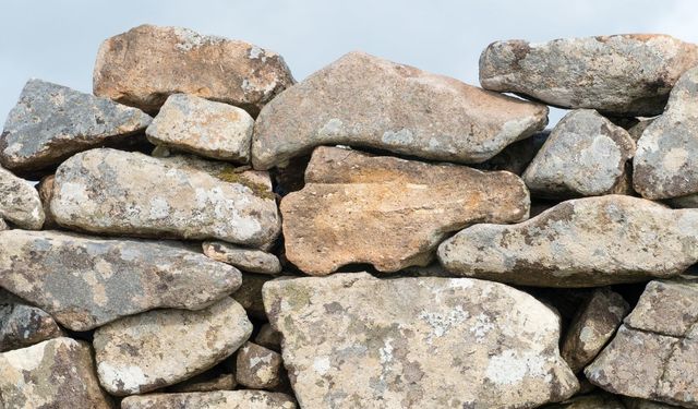 SANAT YAPISI YAPIM HİZMETİ ALINACAKTIR