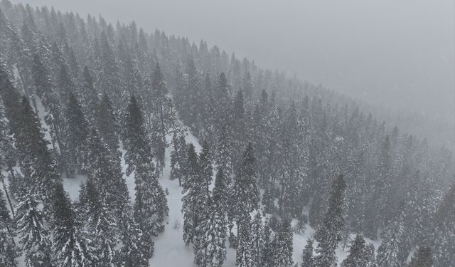 Kastamonu'nun yüksek kesimlerinde yoğun kar yağışı ve sis etkili oluyor