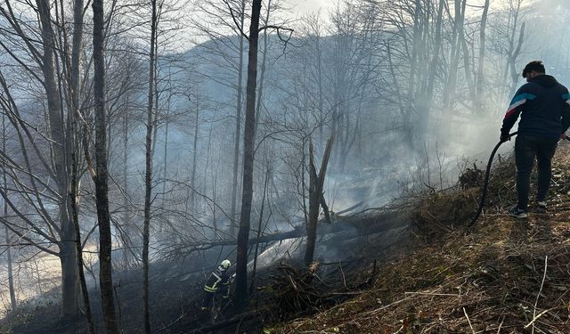 Trabzon'da 2 ilçede çıkan örtü yangınları söndürüldü