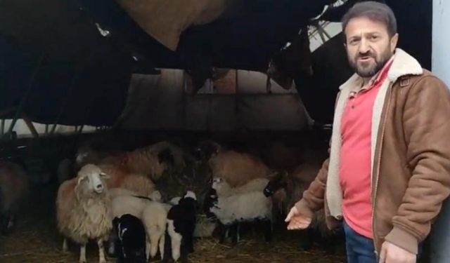 Trabzon'da ilginç görüntüler