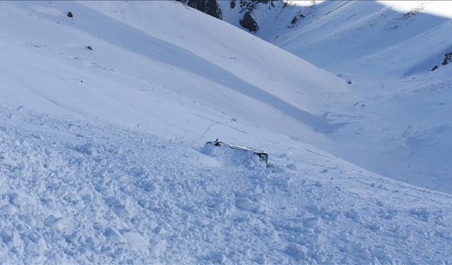 Doğu Karadeniz ve Doğu Anadolu İçin Çığ Uyarısı