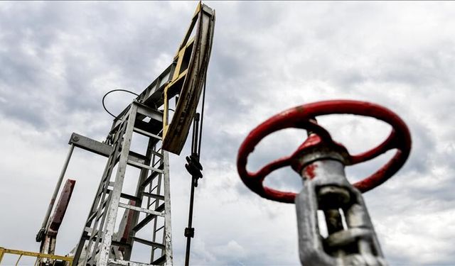 Türkiye'nin petrol ithalatı şubatta yüzde 1,84 azaldı