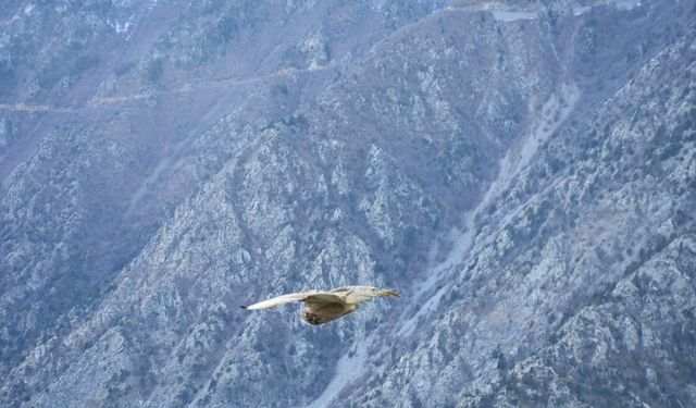 Yeniden Gökyüzüyle Buluştu