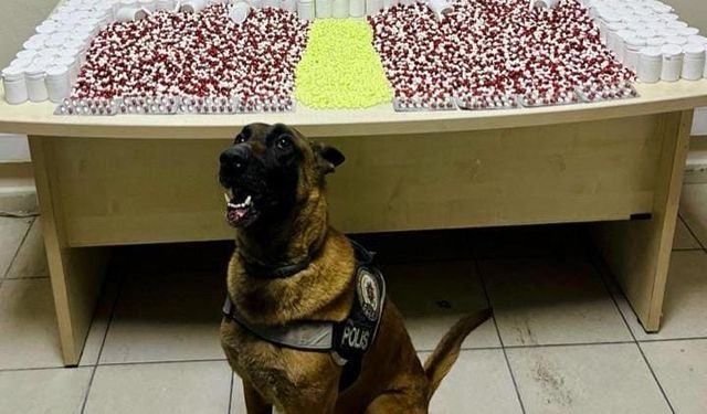 Artvin’de Uyuşturucu Operasyonu